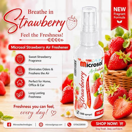 Microsol Air Freshner 100ml
